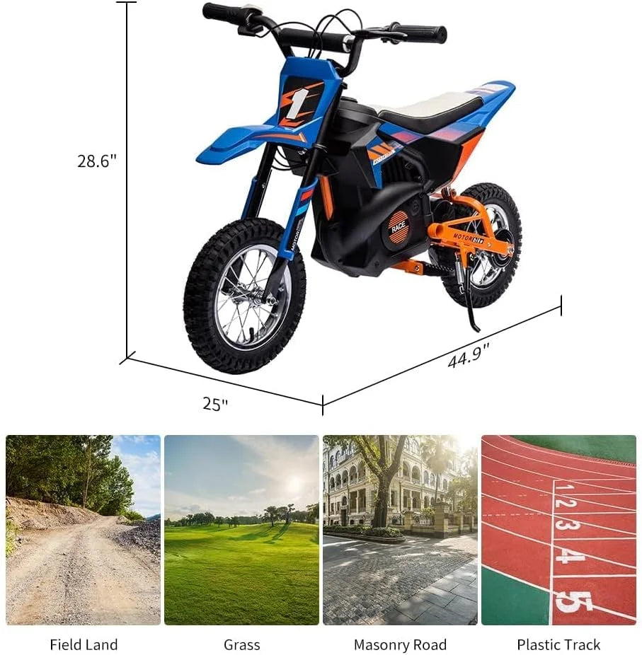 24V Kids Electric Dirt Bike, 250W Motor, 13.6 MPH, Twist Throttle & Air Tires